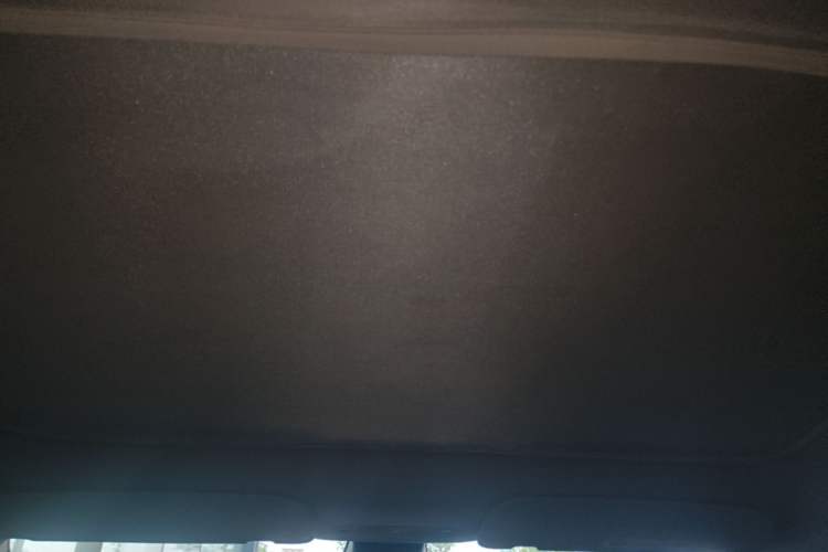 Used Tesla Model Y 2021 Standard Range Rear-Wheel Drive Version Headliner