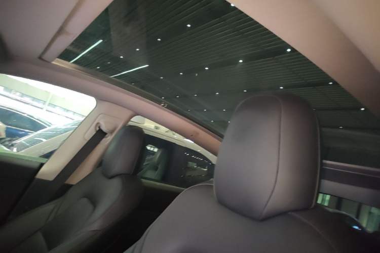 Used Tesla Model Y 2021 Standard Range Rear-Wheel Drive Version Headliner