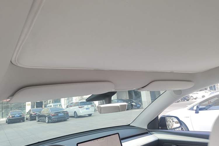 Used Tesla Model Y 2021 Standard Range Rear-Wheel Drive Version Headliner