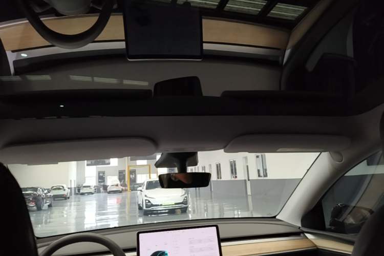 Used Tesla Model Y 2021 Standard Range Rear-Wheel Drive Version Headliner