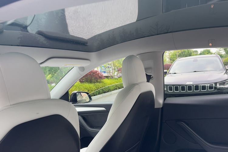 Used Tesla Model Y 2021 Standard Range Rear-Wheel Drive Version Headliner