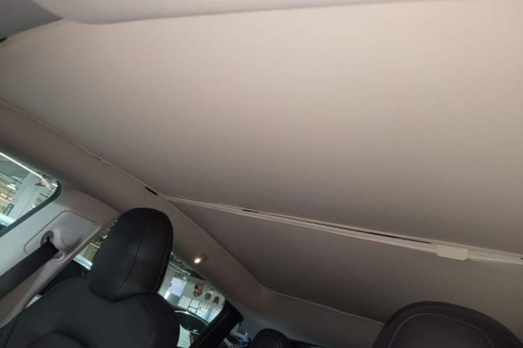 Used Tesla Model Y 2021 Long-Range All-Wheel-Drive Version Headliner
