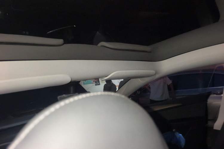 Used Tesla Model Y 2021 Standard Range Rear-Wheel Drive Version Headliner