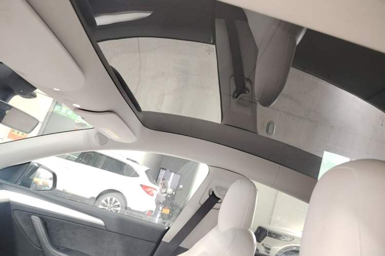 Used Tesla Model Y 2021 Performance High-Performance All-Wheel-Drive Version Headliner