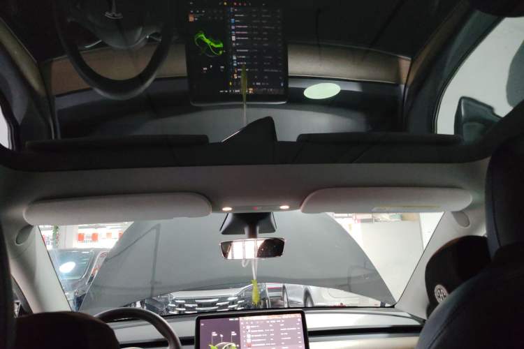 Used Tesla Model Y 2021 Standard Range Rear-Wheel Drive Version Headliner