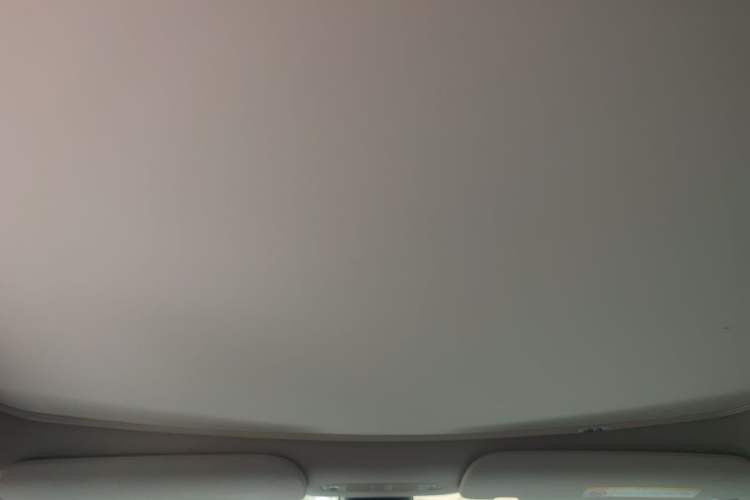 Used Tesla Model Y 2021 Standard Range Rear-Wheel Drive Version Headliner