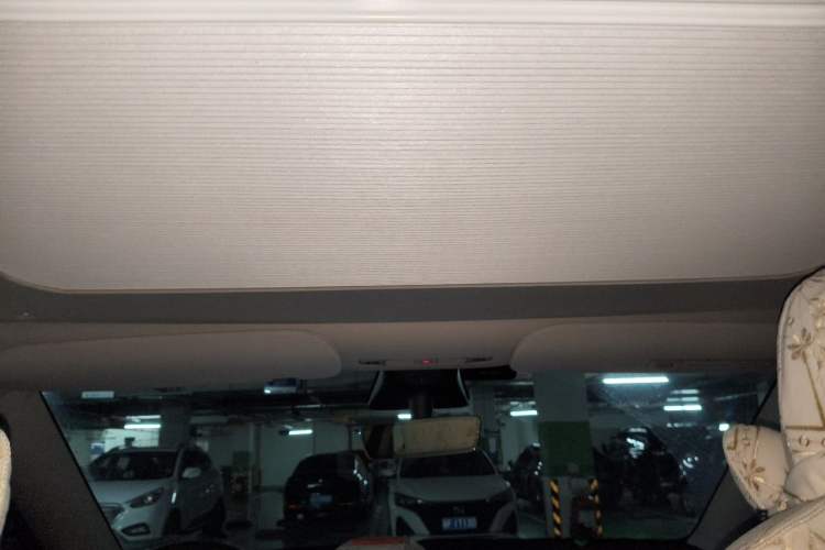 Used Tesla Model Y 2021 Standard Range Rear-Wheel Drive Version Headliner