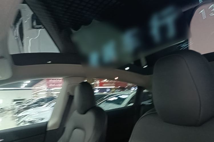 Used Tesla Model Y 2021 Standard Range Rear-Wheel Drive Version Headliner