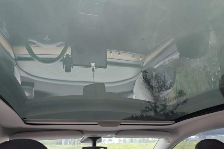 Used Tesla Model Y 2021 Long-Range All-Wheel-Drive Version Headliner