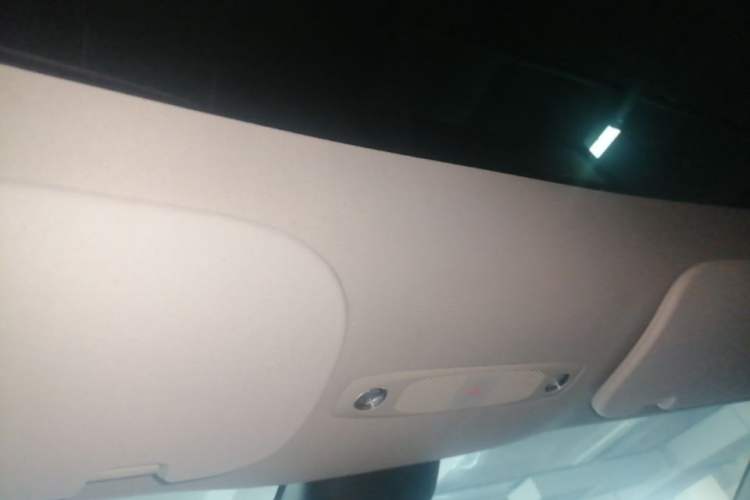 Used Tesla Model Y 2021 Standard Range Rear-Wheel Drive Version Headliner