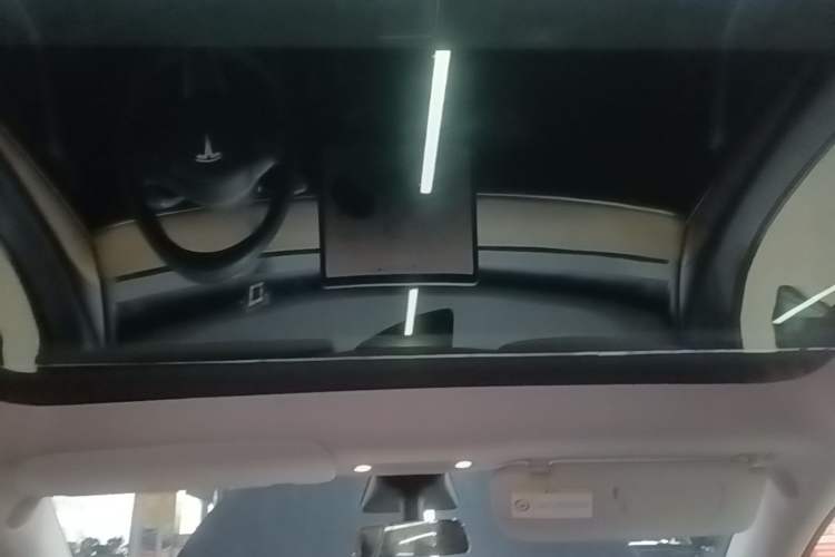 Used Tesla Model Y 2021 Long-Range All-Wheel-Drive Version Headliner