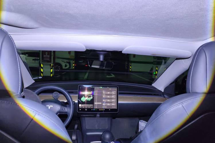 Used Tesla Model Y 2021 Standard Range Rear-Wheel Drive Version Headliner