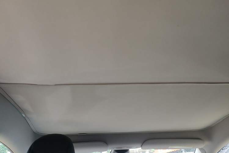 Used Tesla Model Y 2021 Standard Range Rear-Wheel Drive Version Headliner