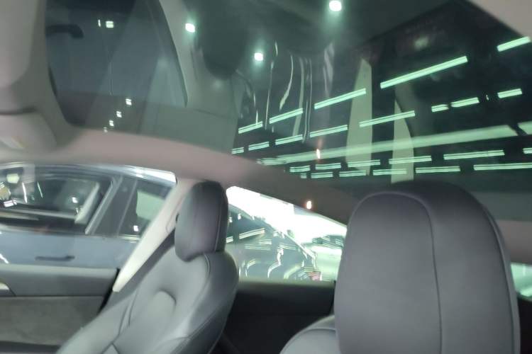 Used Tesla Model Y 2021 Standard Range Rear-Wheel Drive Version Headliner