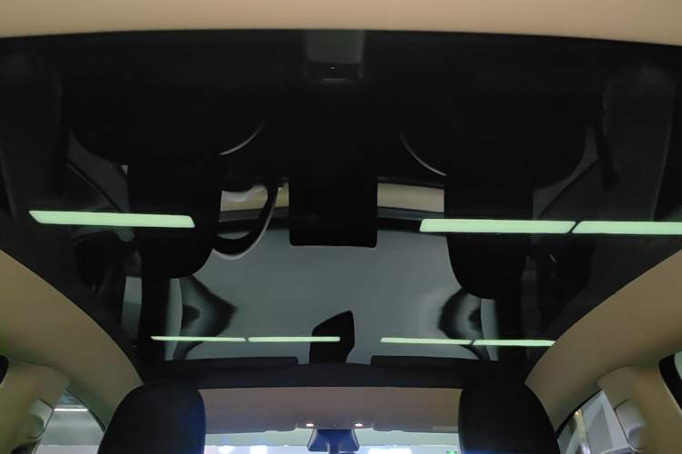 Used Tesla Model Y 2021 Standard Range Rear-Wheel Drive Version Headliner