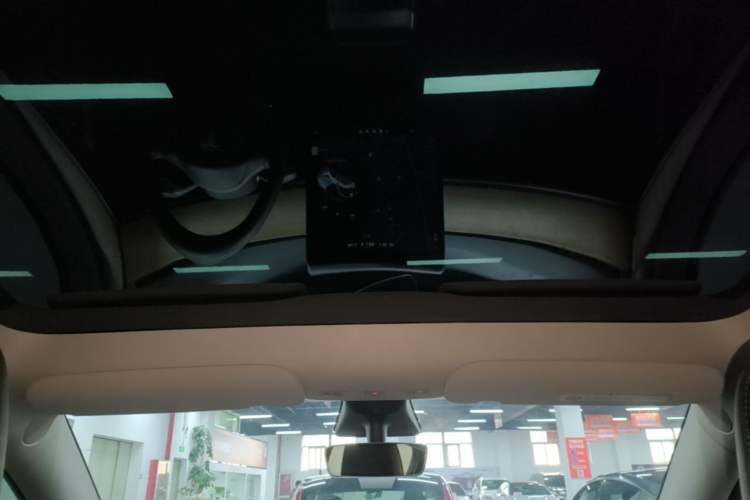 Used Tesla Model Y 2021 Standard Range Rear-Wheel Drive Version Headliner