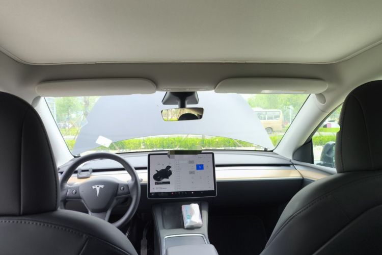 Used Tesla Model Y 2021 Standard Range Rear-Wheel Drive Version Headliner