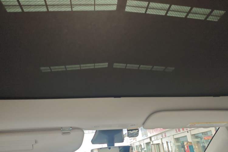 Used Tesla Model Y 2021 Standard Range Rear-Wheel Drive Version Headliner