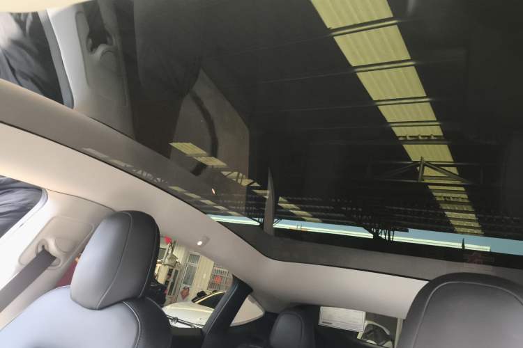 Used Tesla Model Y 2021 Standard Range Rear-Wheel Drive Version Headliner