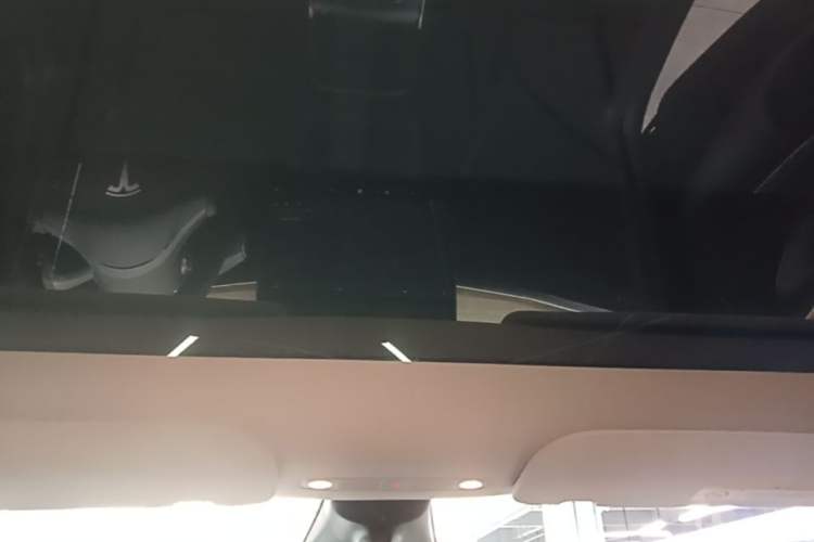 Used Tesla Model Y 2021 Standard Range Rear-Wheel Drive Version Headliner