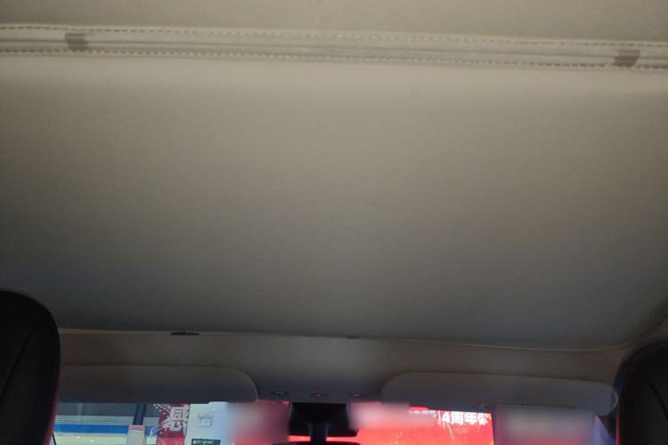 Used Tesla Model Y 2021 Standard Range Rear-Wheel Drive Version Headliner