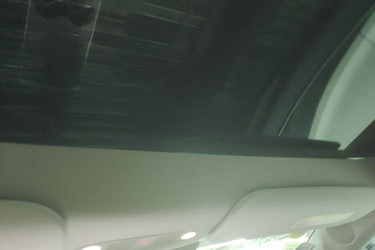 Used Tesla Model Y 2021 Long-Range All-Wheel-Drive Version Headliner