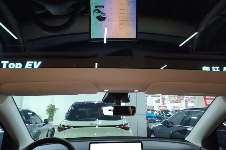 Used Tesla Model Y 2021 Standard Range Rear-Wheel Drive Version Headliner