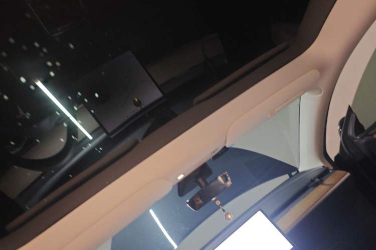 Used Tesla Model Y 2021 Long-Range All-Wheel-Drive Version Headliner