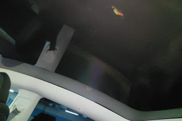 Used Tesla Model Y 2021 Long-Range All-Wheel-Drive Version Headliner