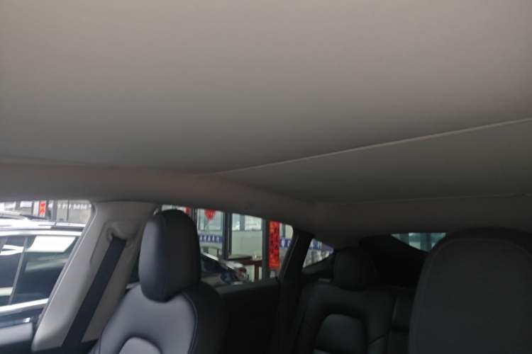 Used Tesla Model Y 2021 Standard Range Rear-Wheel Drive Version Headliner