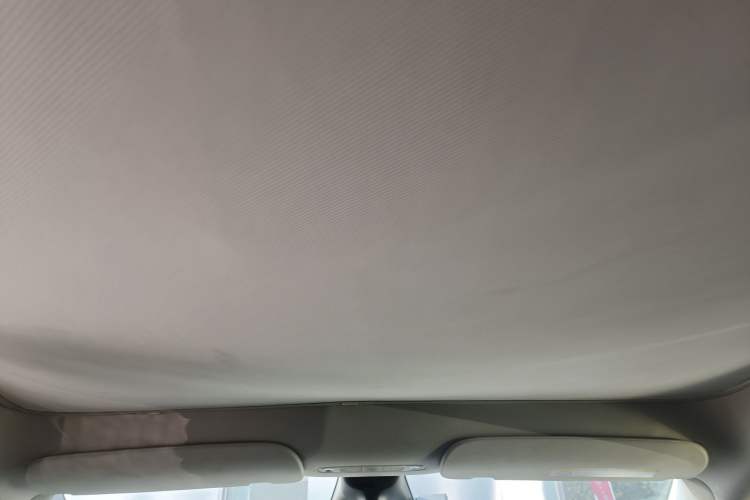 Used Tesla Model Y 2021 Standard Range Rear-Wheel Drive Version Headliner