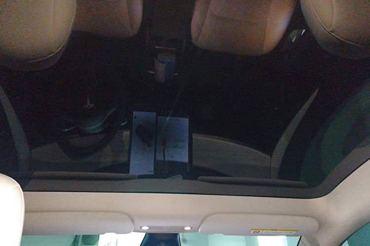Used Tesla Model Y 2021 Standard Range Rear-Wheel Drive Version Headliner
