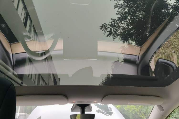 Used Tesla Model Y 2021 Standard Range Rear-Wheel Drive Version Headliner