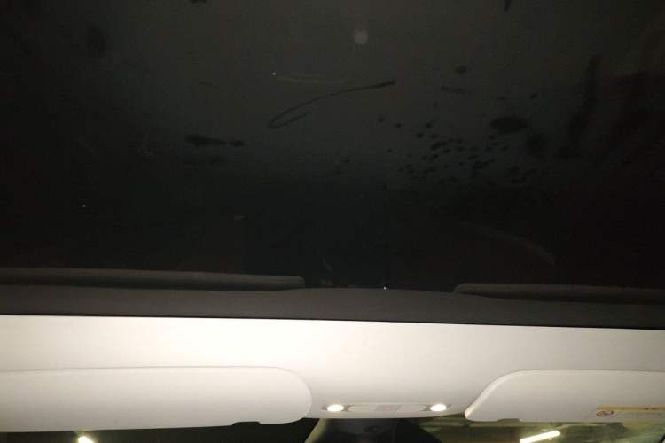 Used Tesla Model Y 2021 Standard Range Rear-Wheel Drive Version Headliner