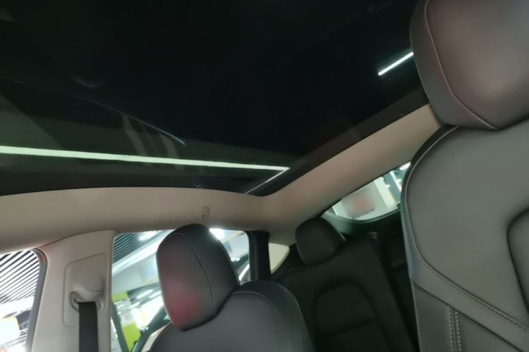 Used Tesla Model Y 2021 Long-Range All-Wheel-Drive Version 3D7 Headliner