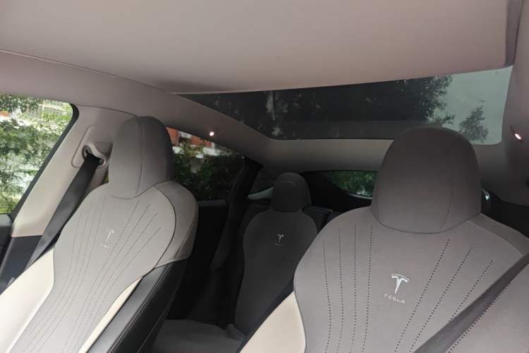 Used Tesla Model Y 2021 Standard Range Rear-Wheel Drive Version Headliner
