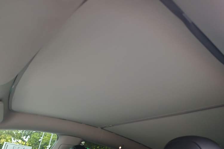 Used Tesla Model Y 2021 Standard Range Rear-Wheel Drive Version Headliner