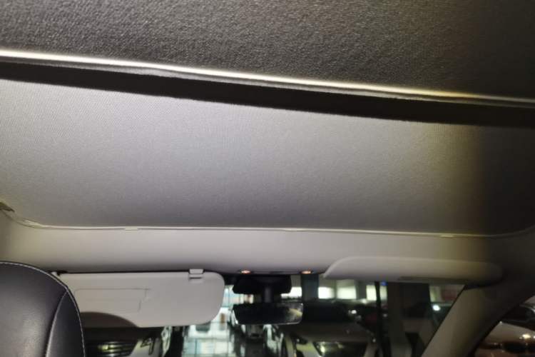 Used Tesla Model Y 2021 Standard Range Rear-Wheel Drive Version Headliner