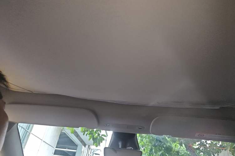 Used Tesla Model Y 2021 Standard Range Rear-Wheel Drive Version Headliner