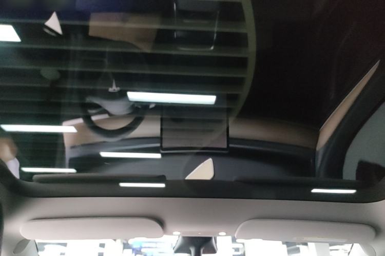 Used Tesla Model Y 2021 Standard Range Rear-Wheel Drive Version Headliner