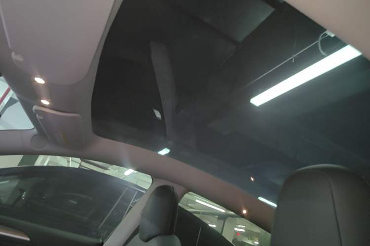 Used Tesla Model Y 2021 Standard Range Rear-Wheel Drive Version Headliner