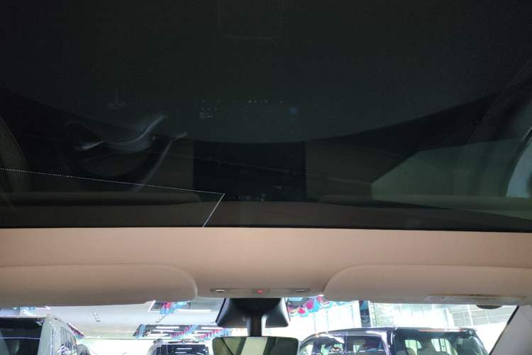 Used Tesla Model Y 2021 Standard Range Rear-Wheel Drive Version Headliner