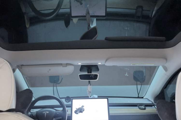 Used Tesla Model Y 2021 Standard Range Rear-Wheel Drive Version Headliner