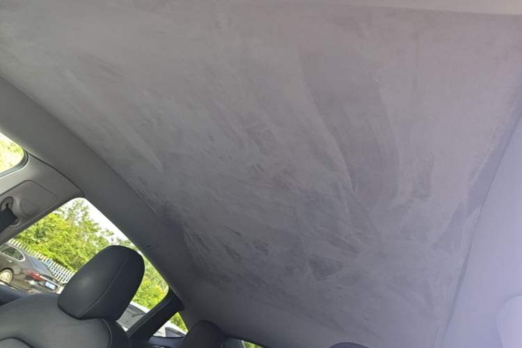 Used Tesla Model Y 2021 Standard Range Rear-Wheel Drive Version Headliner