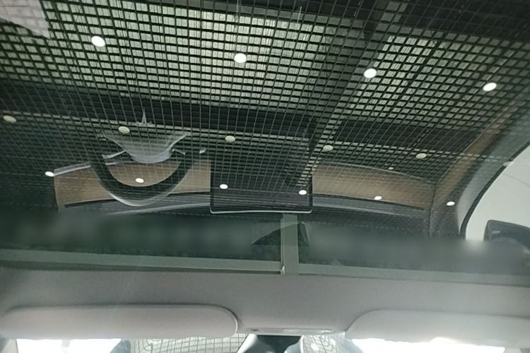Used Tesla Model Y 2021 Standard Range Rear-Wheel Drive Version Headliner