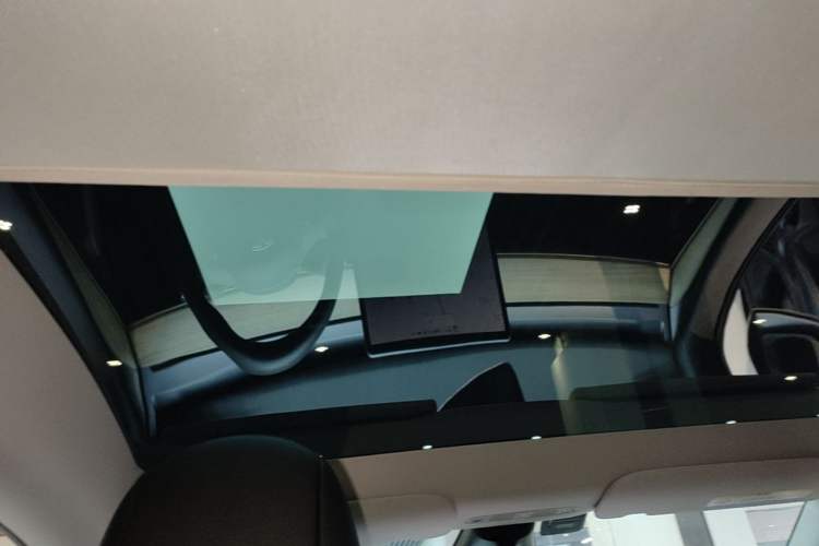 Used Tesla Model Y 2021 Standard Range Rear-Wheel Drive Version Headliner