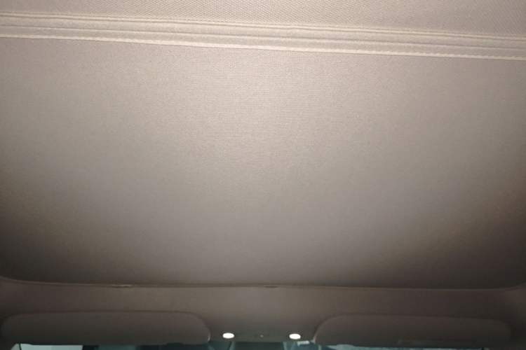 Used Tesla Model Y 2021 Standard Range Rear-Wheel Drive Version Headliner