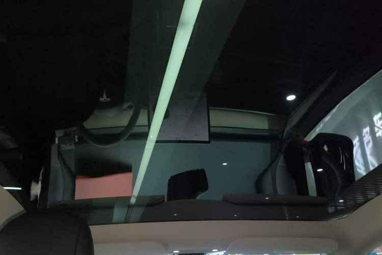 Used Tesla Model Y 2021 Standard Range Rear-Wheel Drive Version Headliner