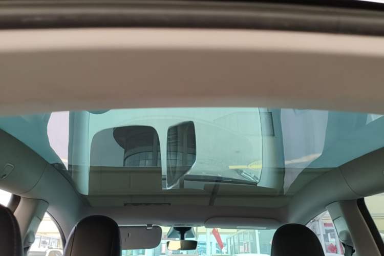 Used Tesla Model Y 2021 Standard Range Rear-Wheel Drive Version Headliner