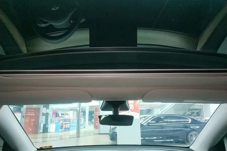 Used Tesla Model Y 2021 Standard Range Rear-Wheel Drive Version Headliner